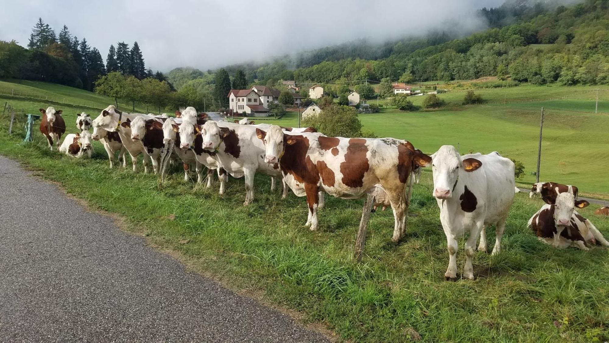 Un Pied Devant L'Autre Sainte-Marie-D'Alvey エクステリア 写真