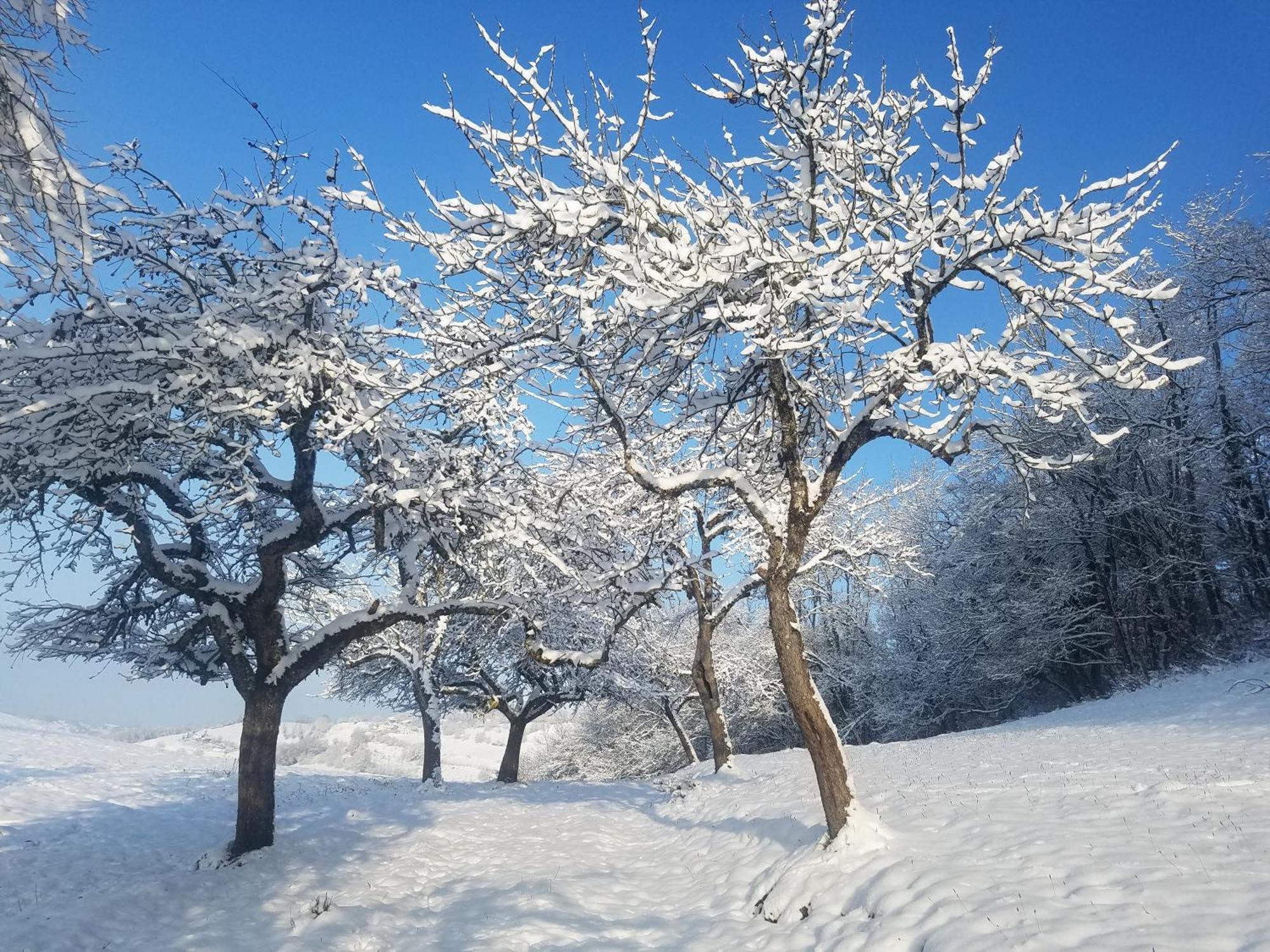 Un Pied Devant L'Autre Sainte-Marie-D'Alvey エクステリア 写真